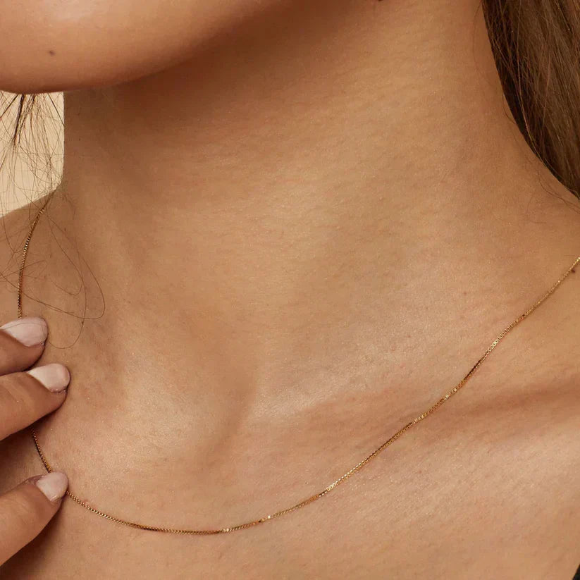 Bodega Box Halsband