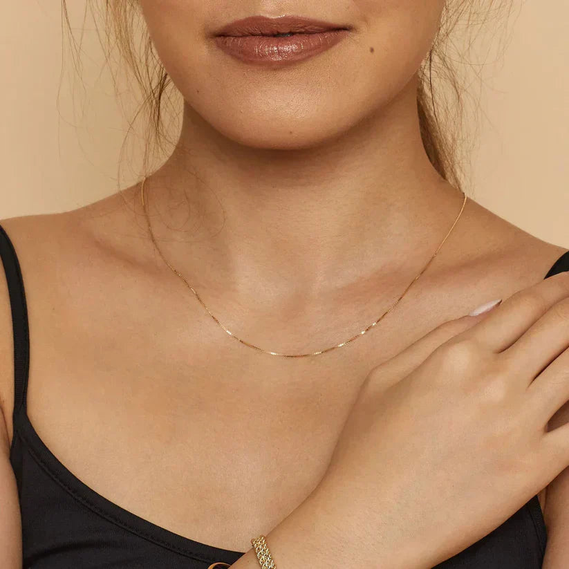 Bodega Box Halsband